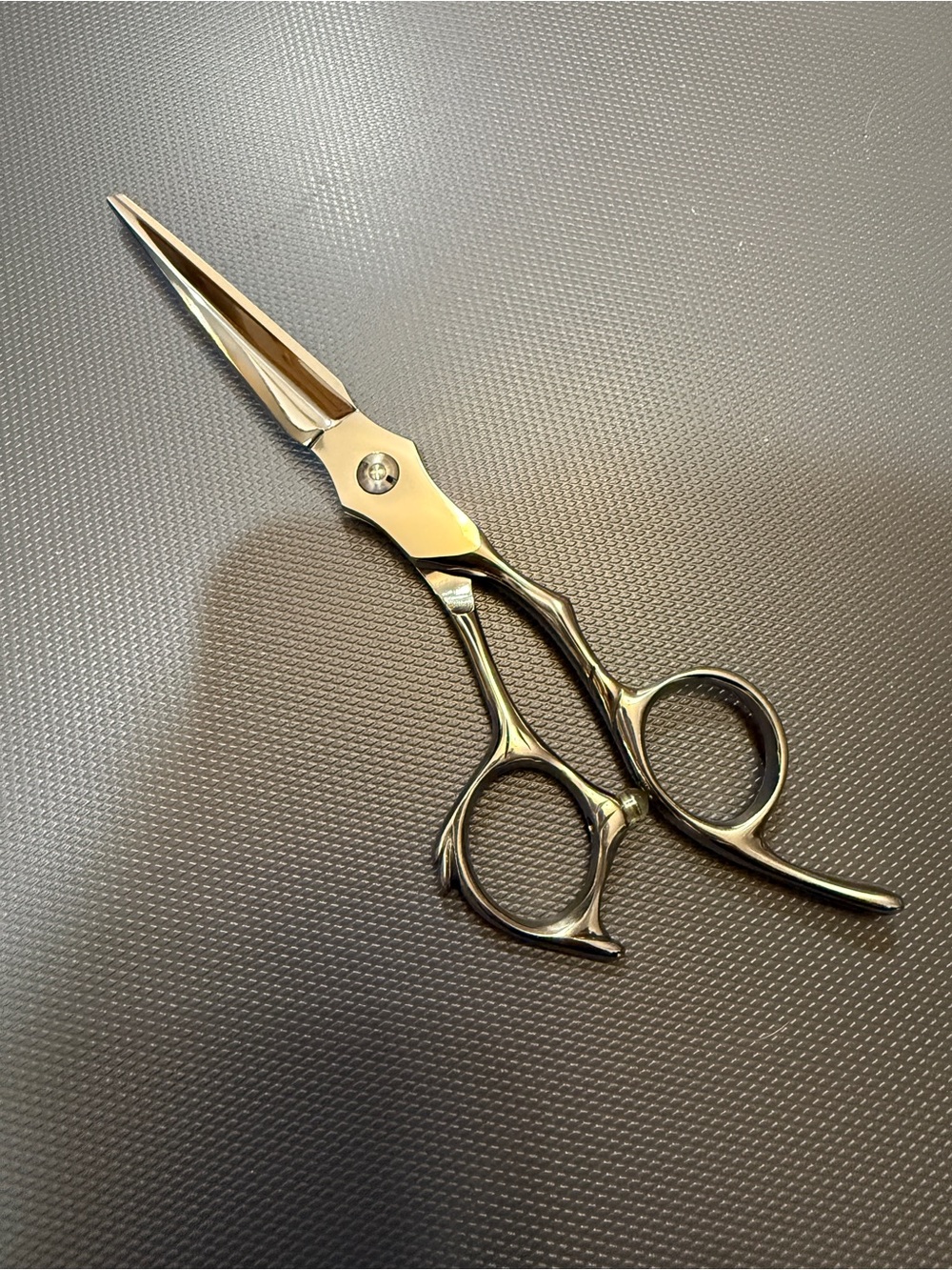 Professional Hair Cutting Scissors - Metallic Silver